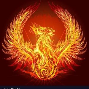 Meet your Posher, Vu